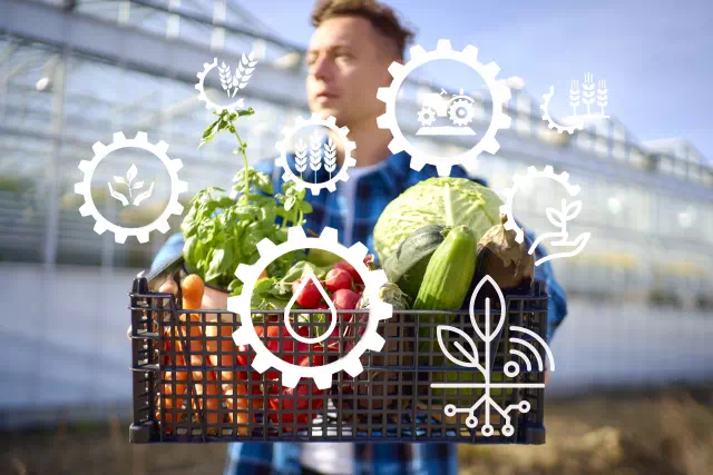 스마트팜 정부 지원금 1번 원예편