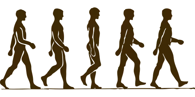 중년의 유망자격증 1번 걷기지도사